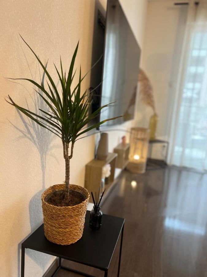 Apartamento T2 Cosy Ajaccio Ajaccio  Exterior foto